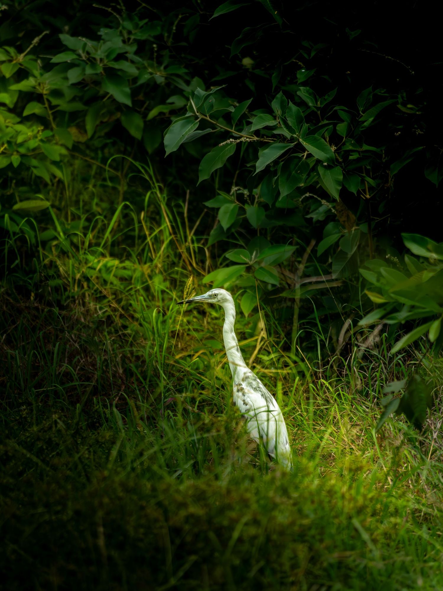 Naturaleza