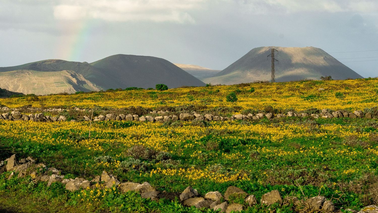 Cinematic volcanic landscape photography Timanfaya 
National Park Lanzarote — fine art print