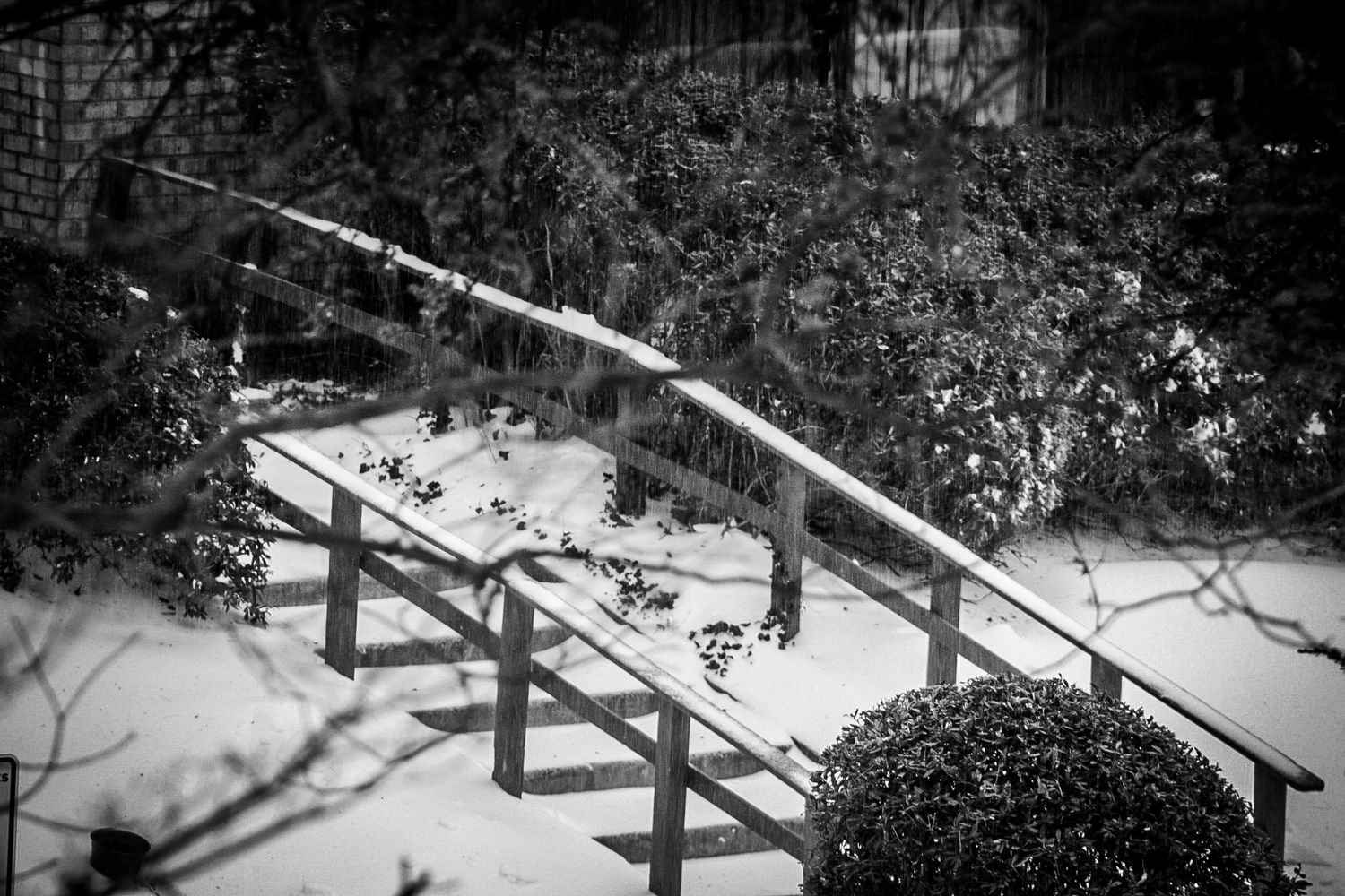 Snow-covered wooden fence railing with frosted bushes captured in moody black and white winter photography.