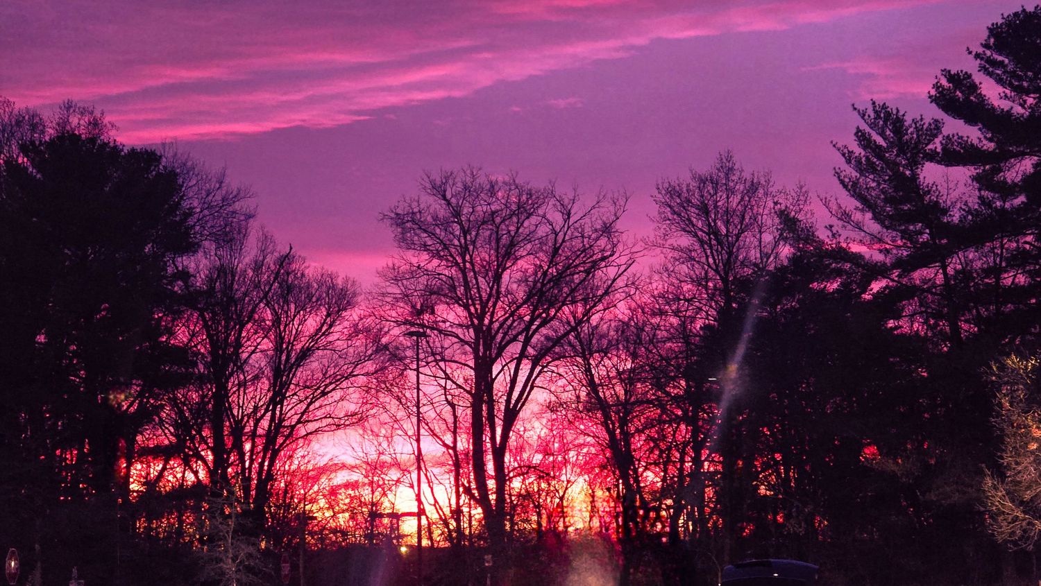Vibrant pink and purple sunset silhouetting bare winter trees against a dramatic colorful sky.