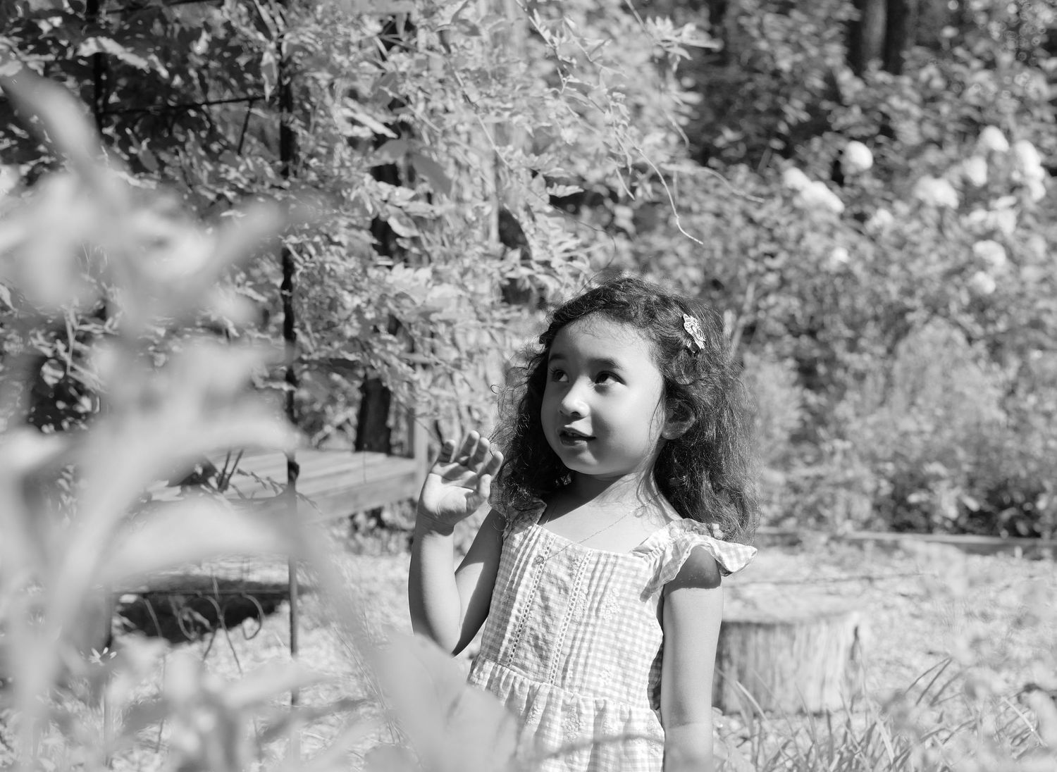 Raleigh and Wake Forest Lifestyle, Family and Personal Branding Photography