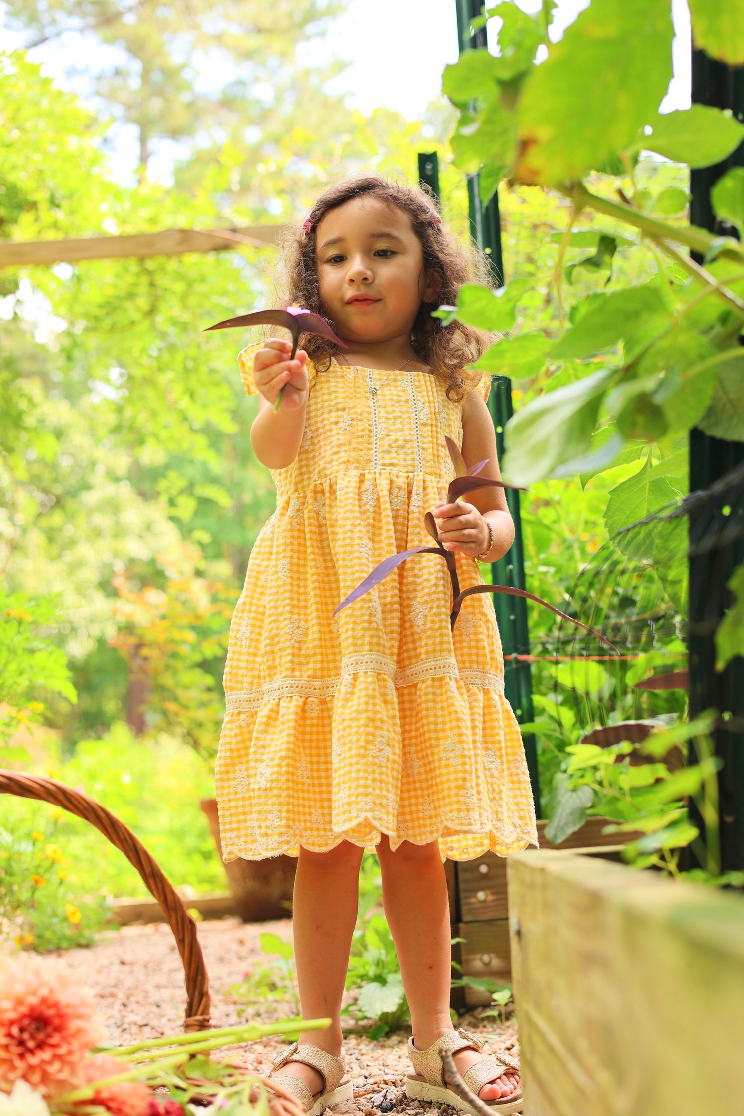 Raleigh and Wake Forest Lifestyle, Family and Personal Branding Photography
