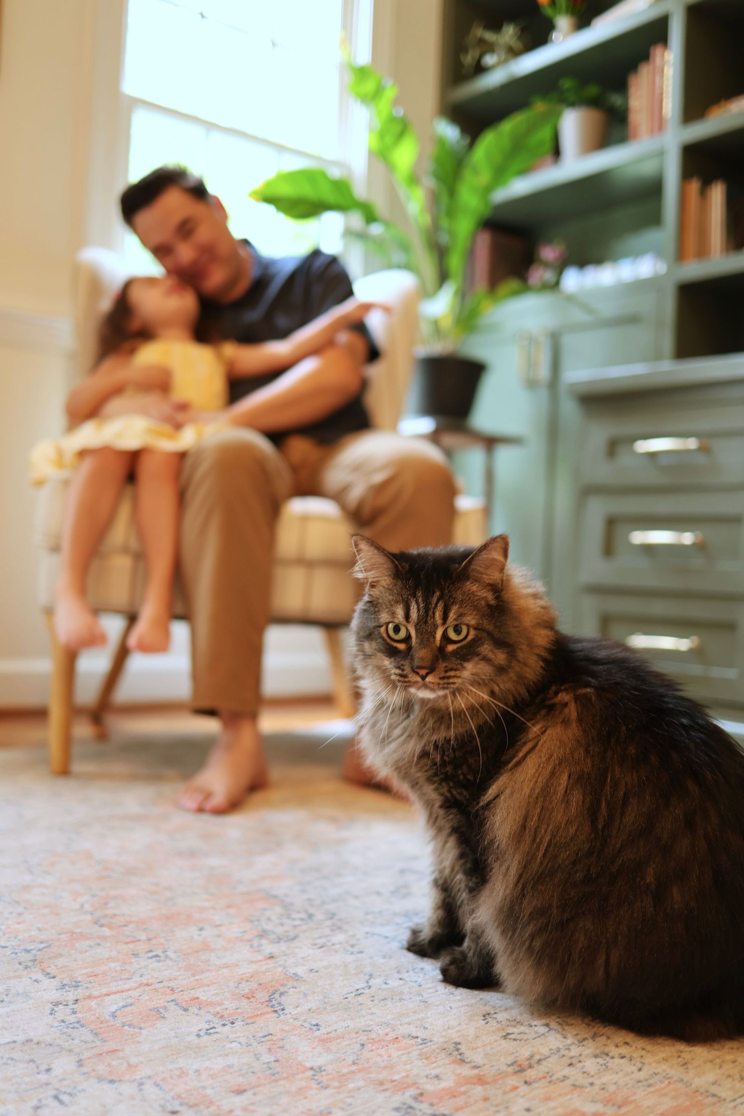 Raleigh and Wake Forest Lifestyle, Family and Personal Branding Photography
