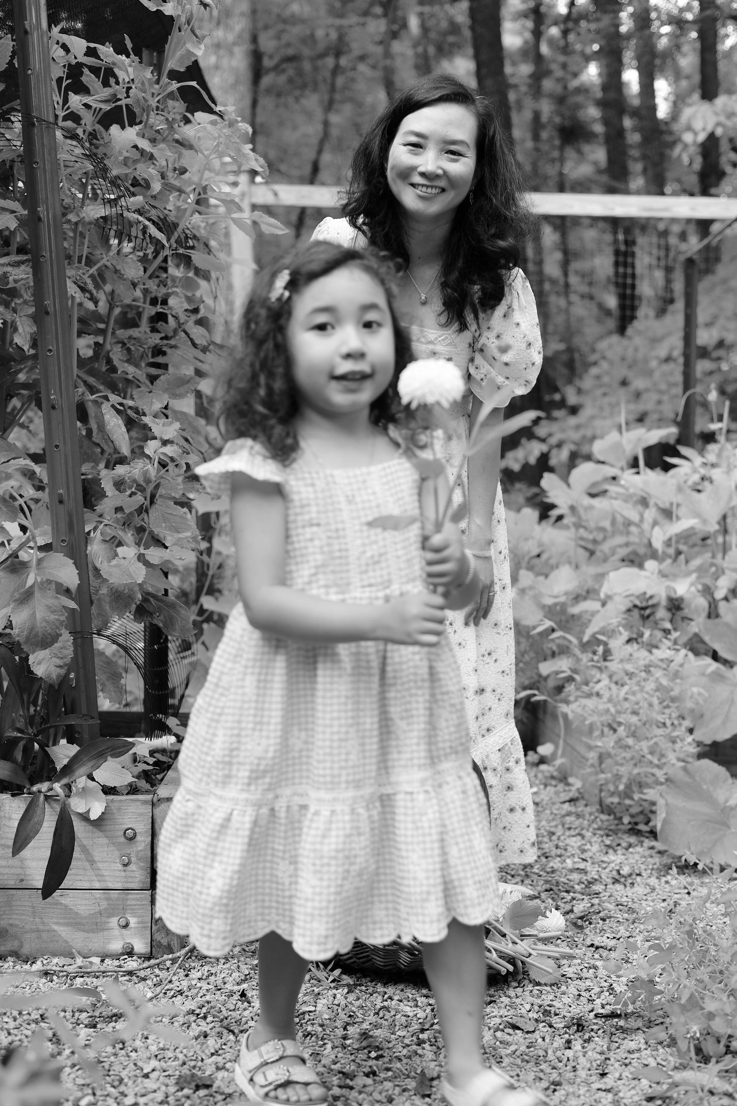 Raleigh and Wake Forest Lifestyle, Family and Personal Branding Photography