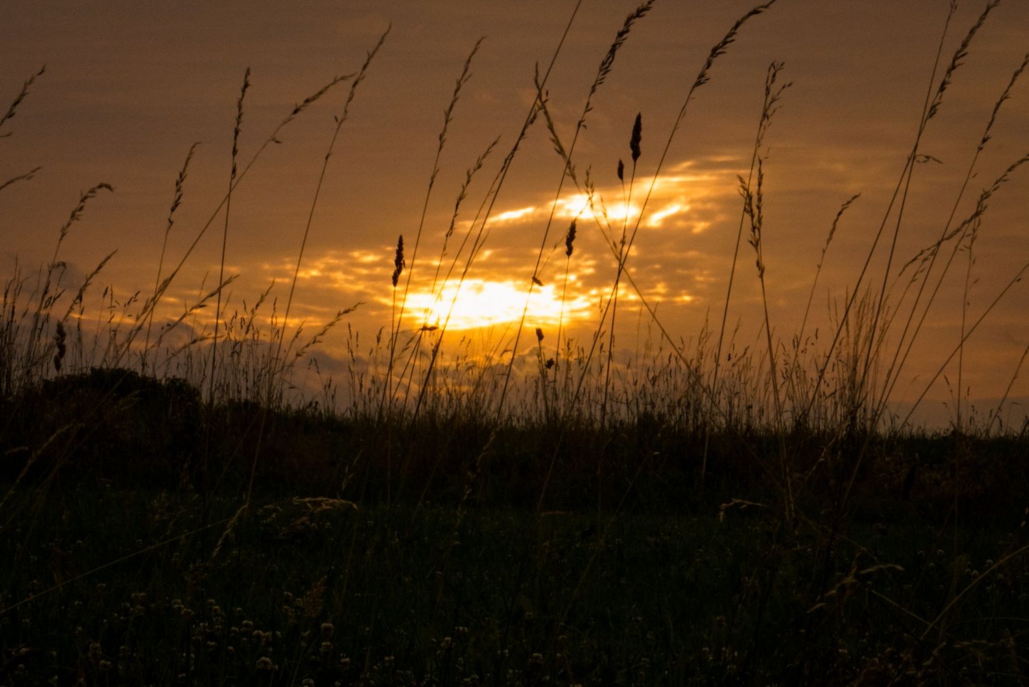 Sonnenuntergang über einer Wiese im Fichtelgebirge.