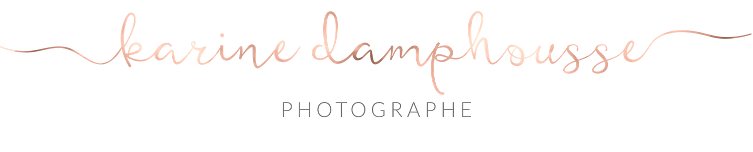 Karine Damphousse - logo