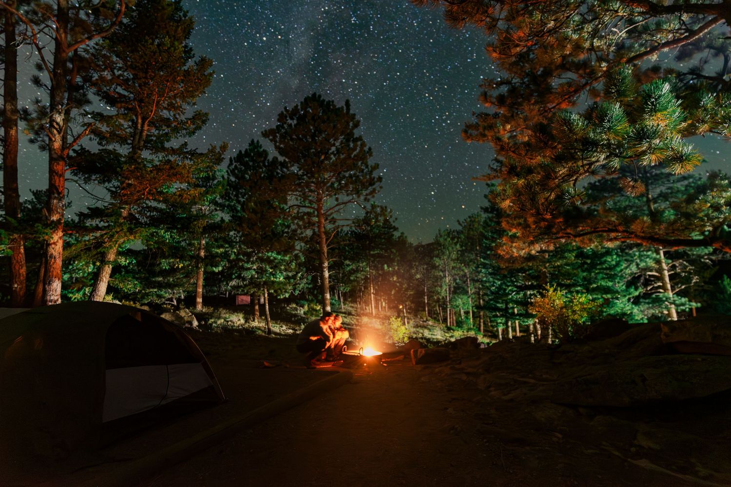 Campfire glowing under a starry night sky surrounded by tall pine trees in a Rocky Mountain National Park