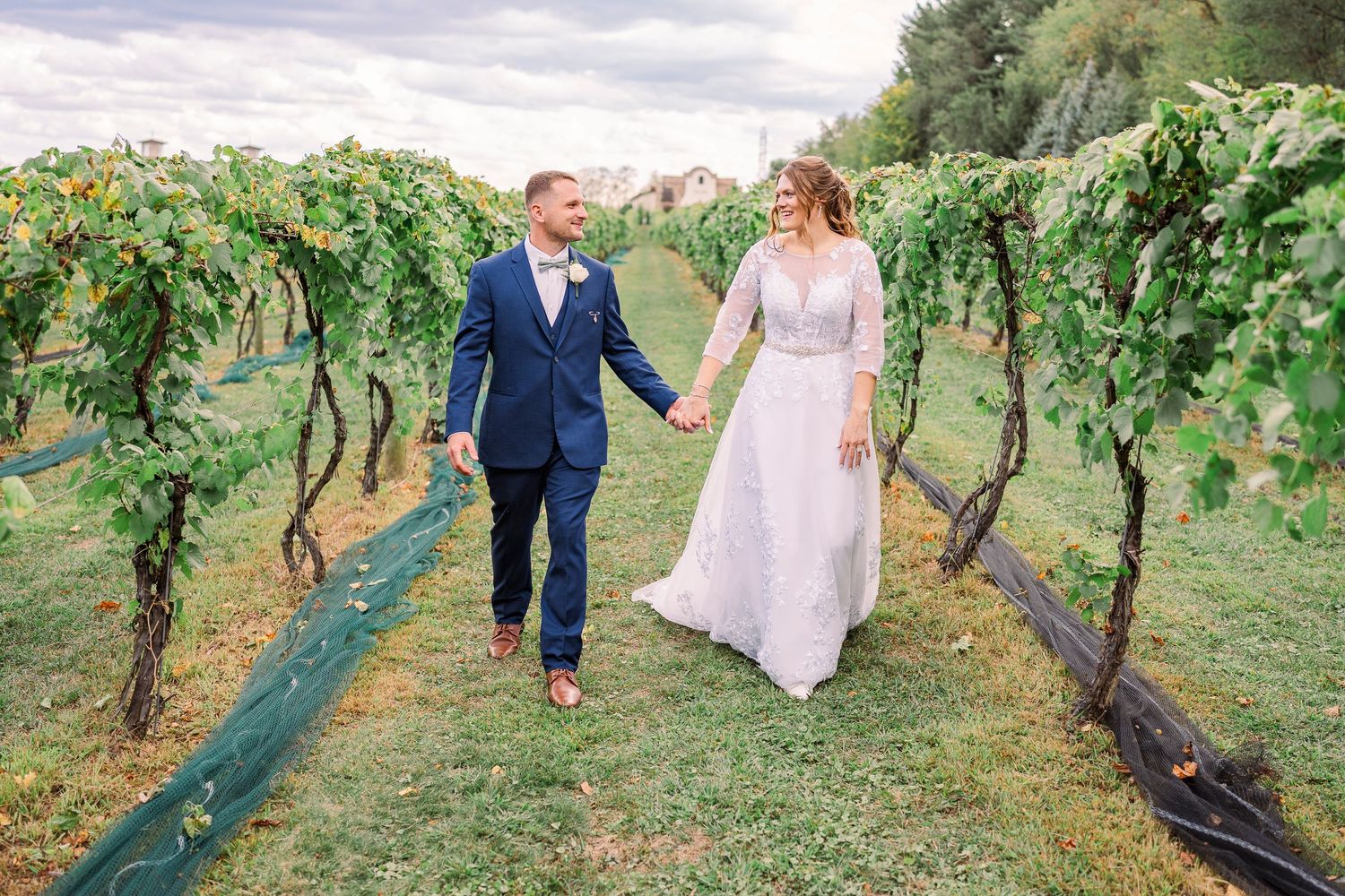 Bride and groom walk hand in hand through lush vineyard rows on their wedding day.