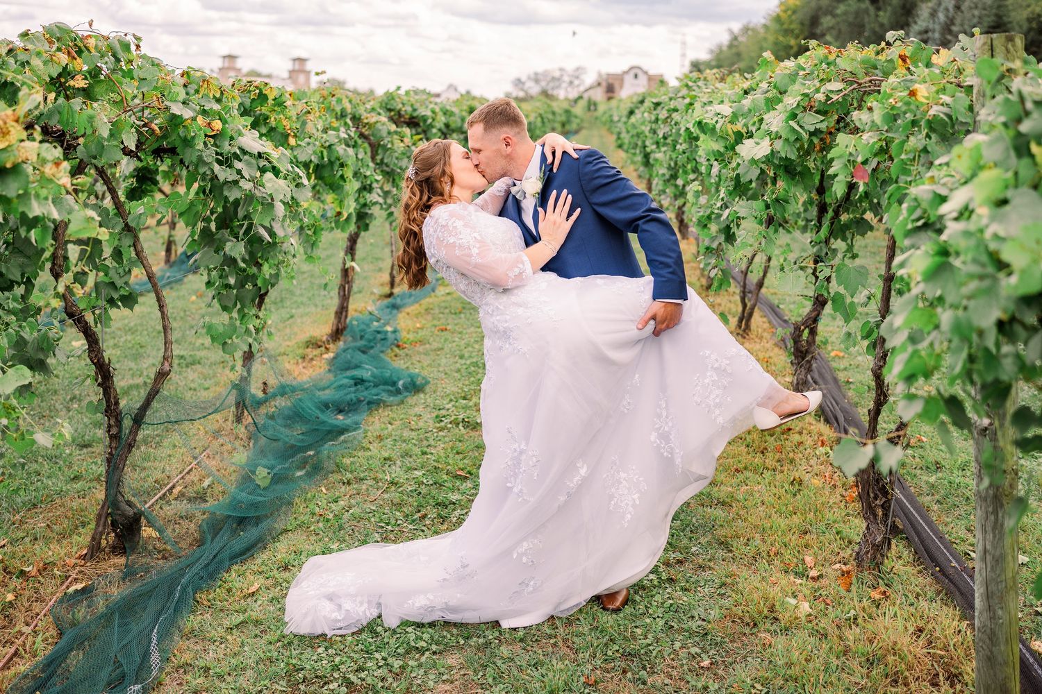 Groom dipping bride in a romantic kiss among lush green vineyard rows on wedding day at Gervasi Vineyard wedding venue.