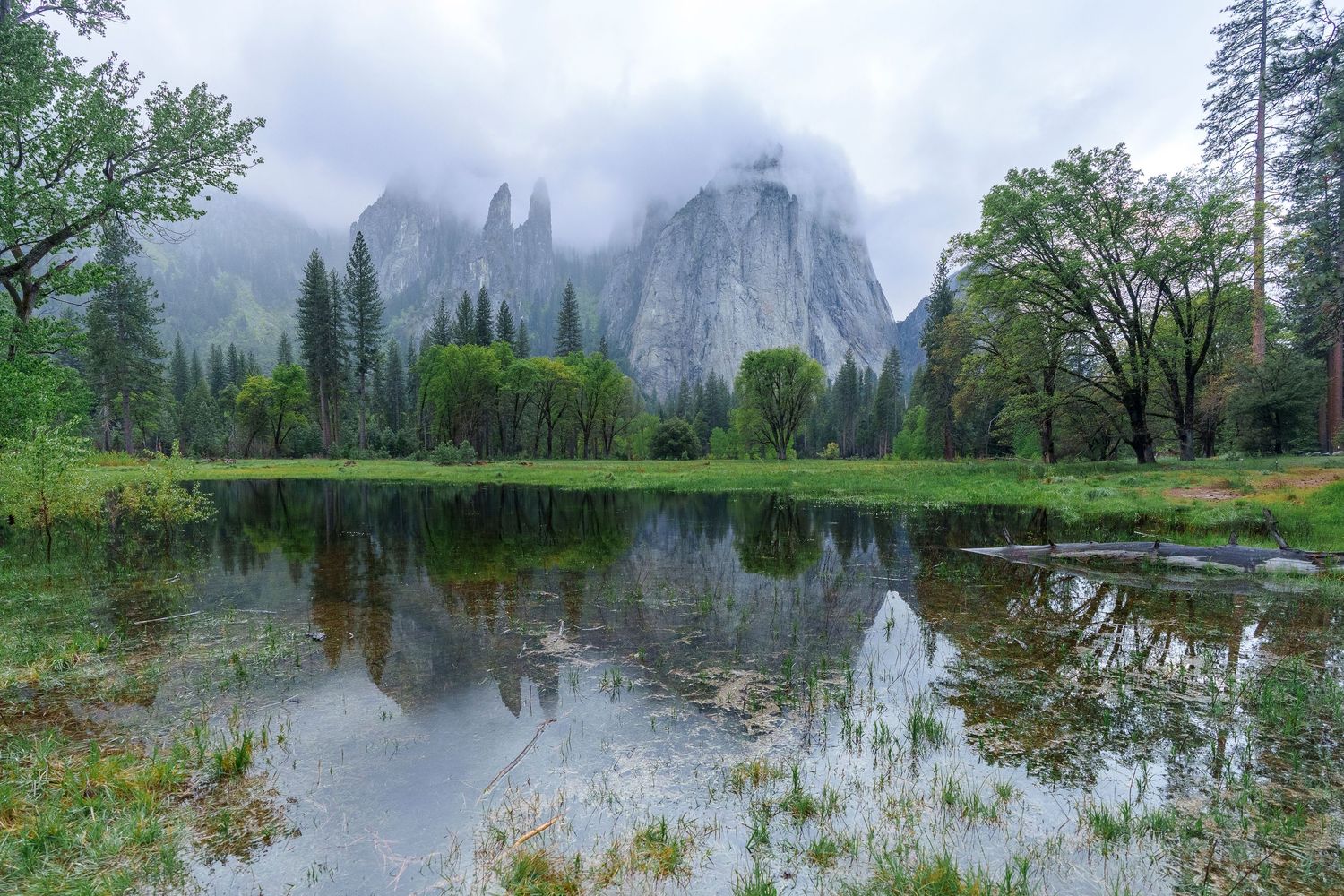 Misty Yosemite Valley with granite cliffs reflected in a calm meadow pond surrounded by lush green trees.