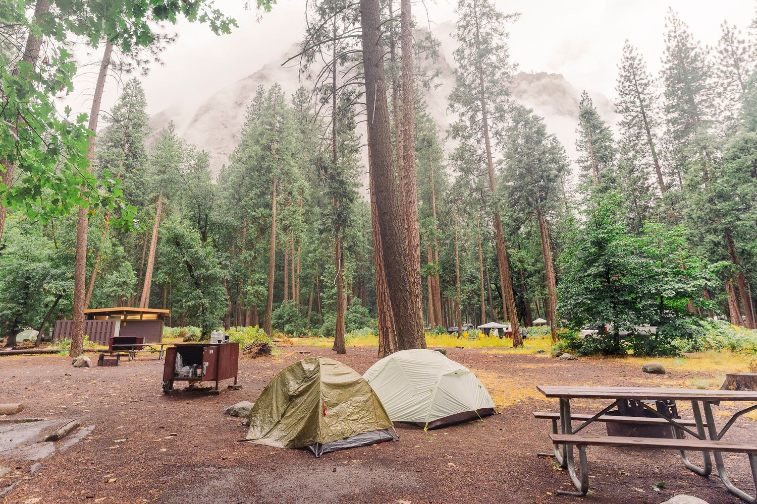 Misty campsite in Yosemite with green tents, tall redwoods, picnic tables, and foggy mountain views.