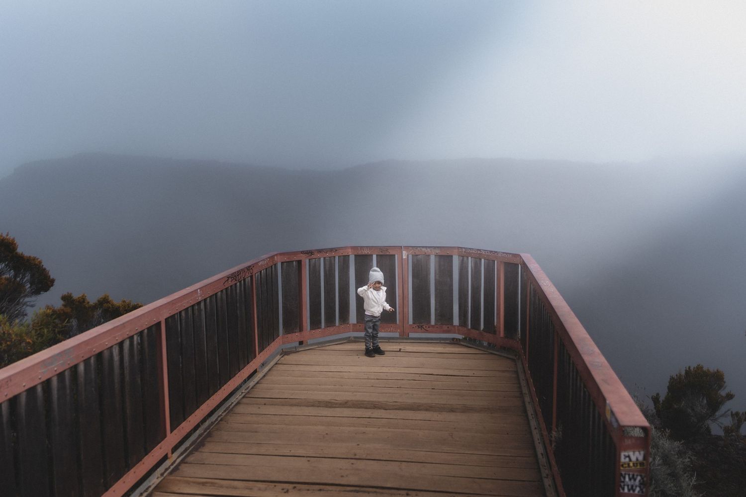 A lone person stands on a wooden overlook platform surrounded by misty fog and trees on a cloudy day.