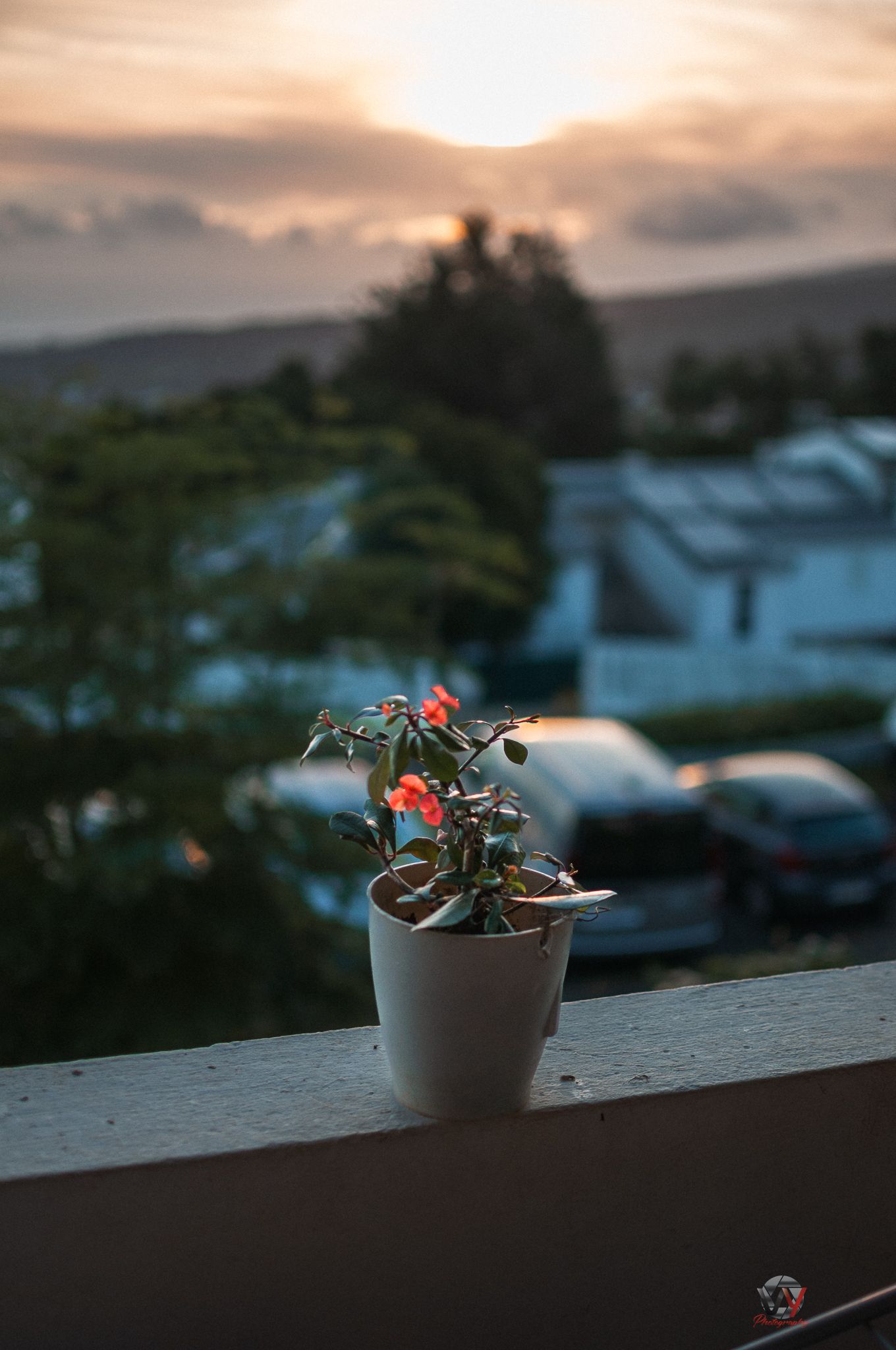 fleur