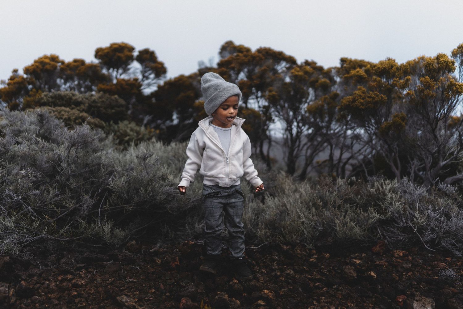 A toddler in a gray beanie and white hoodie explores a rugged alpine landscape with native shrubs and trees.