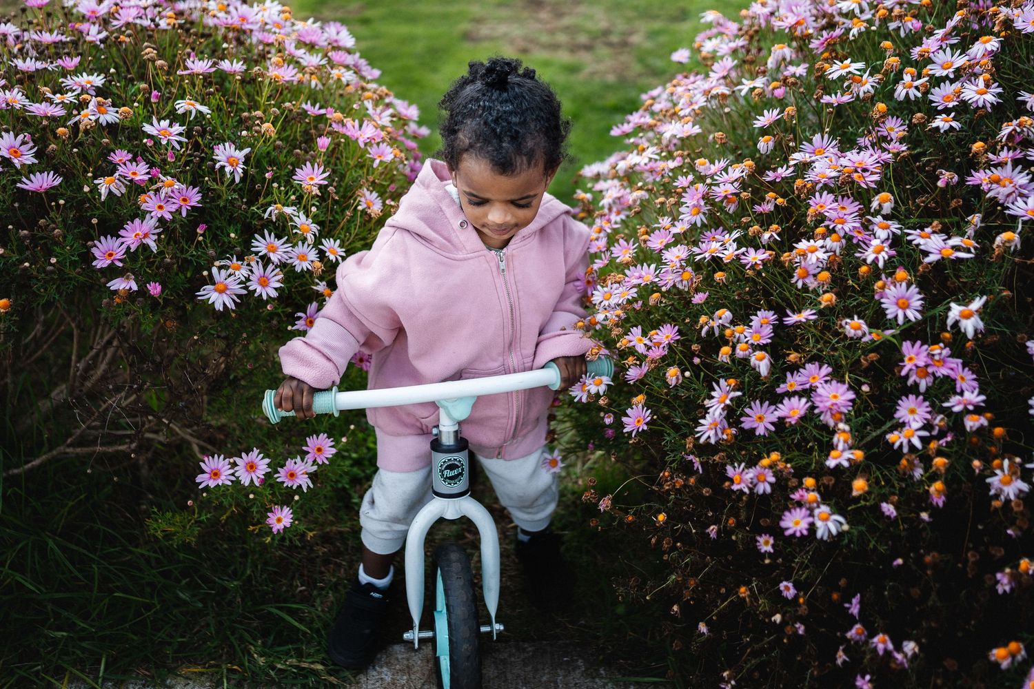Young child in pink hoodie riding a balance bike surrounded by blooming pink flowers in a garden.