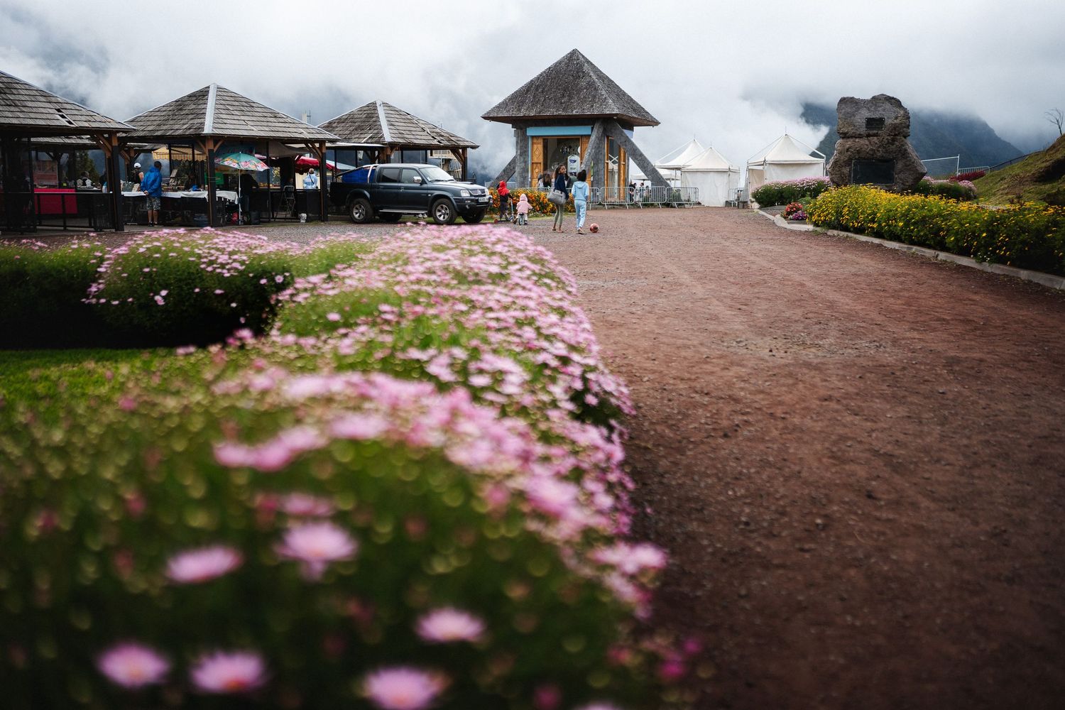Pink wildflowers line a rustic dirt path leading to a mountain lodge with parked cars under cloudy skies.