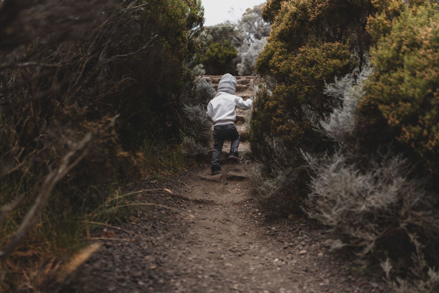 A young child walks alone down a narrow dirt trail surrounded by lush green shrubs and trees in a natural outdoor setting.