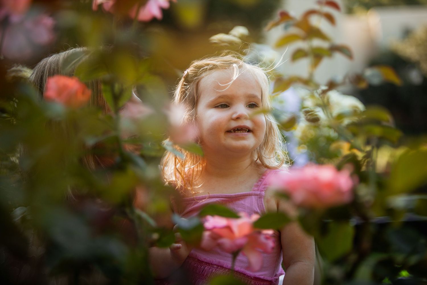 Sweet blonde toddler girl smiling among pink roses and green leaves in a sunlit garden.