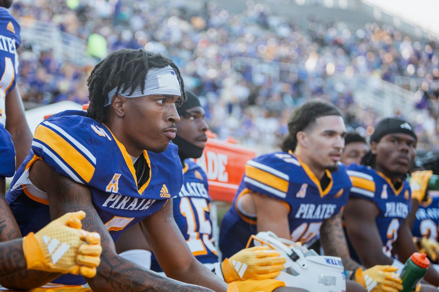 ECU Pirates football players sit on the bench during a game wearing blue and gold uniforms.