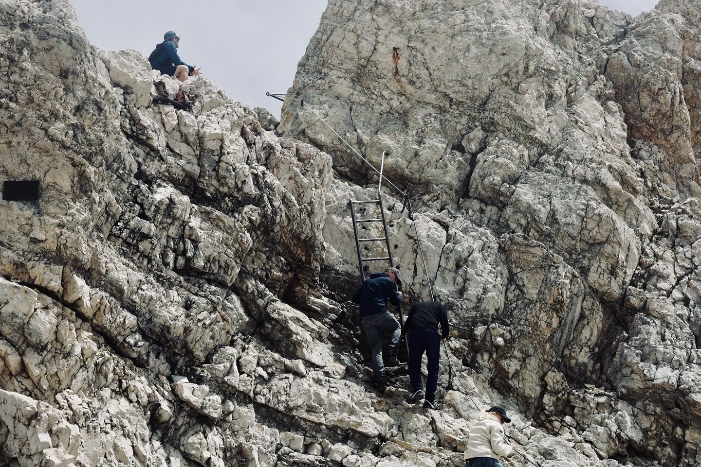 Climbers ascending a steep rocky mountain face using a metal ladder.