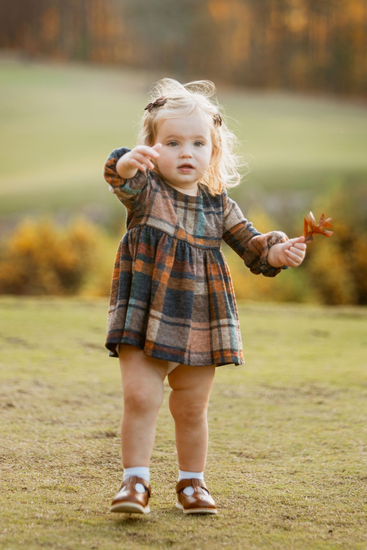 Adorable blonde toddler girl in plaid dress holds a fall leaf while standing on green grass in golden autumn light.