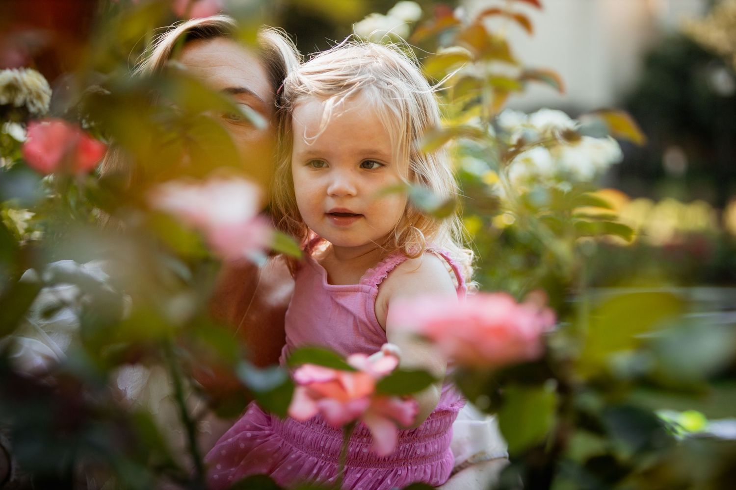 Adorable blonde toddler girl in pink dress peeking through lush garden foliage and pink flowers.