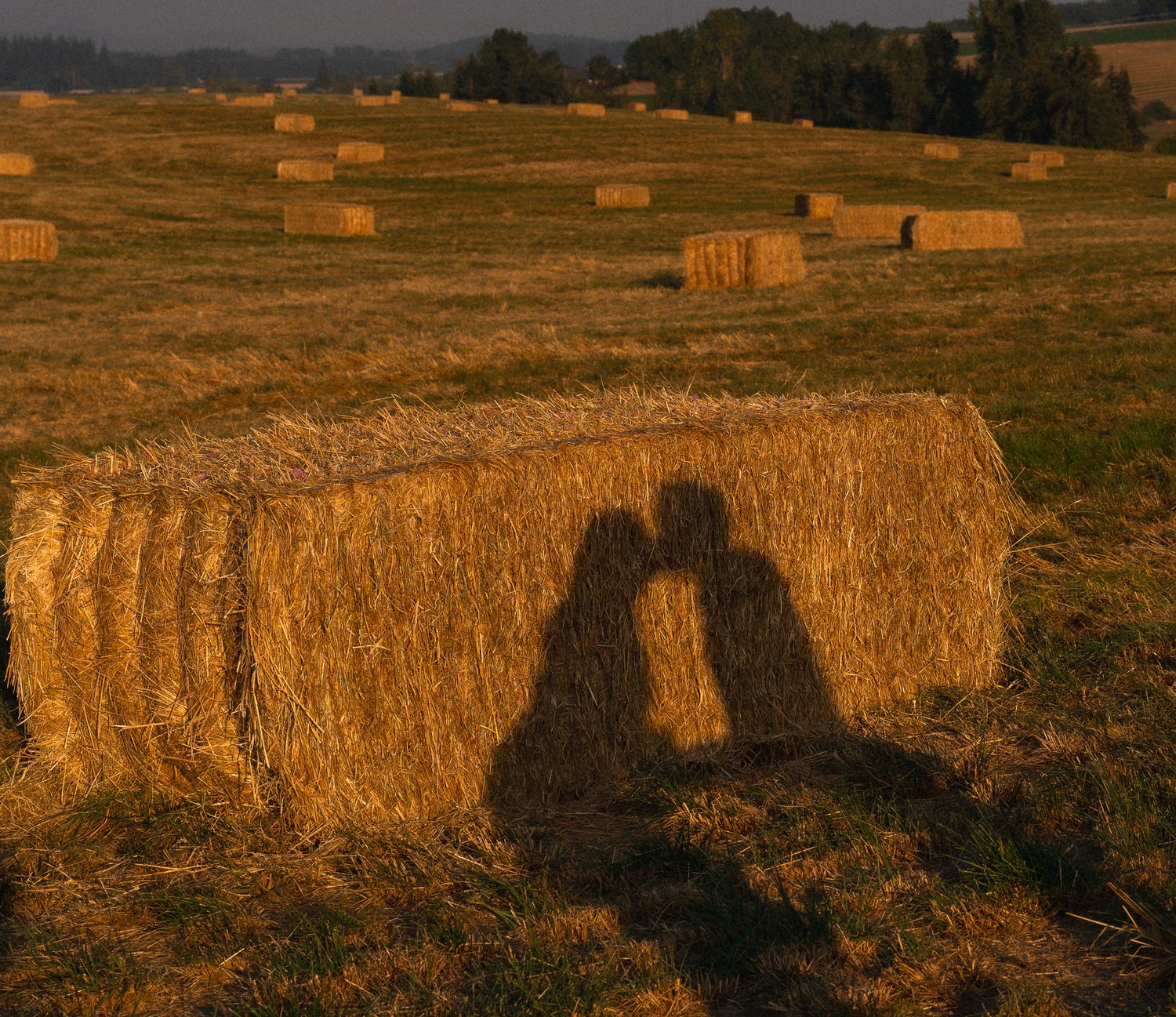 Oregon country photo session