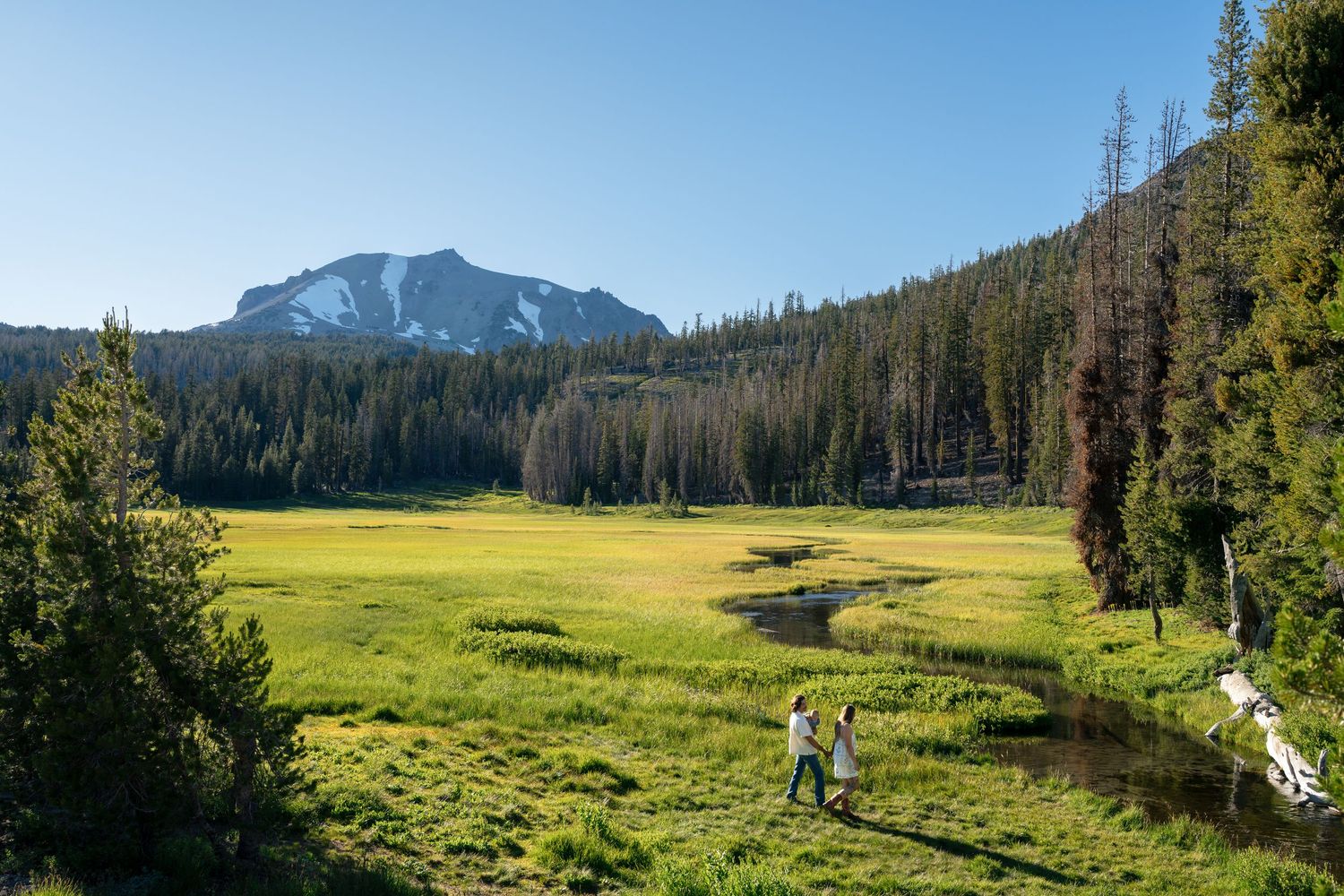 Family walking through a lush green meadow with a mountain peak and dense pine forest in the background at Lassen Volcanic National Park.
