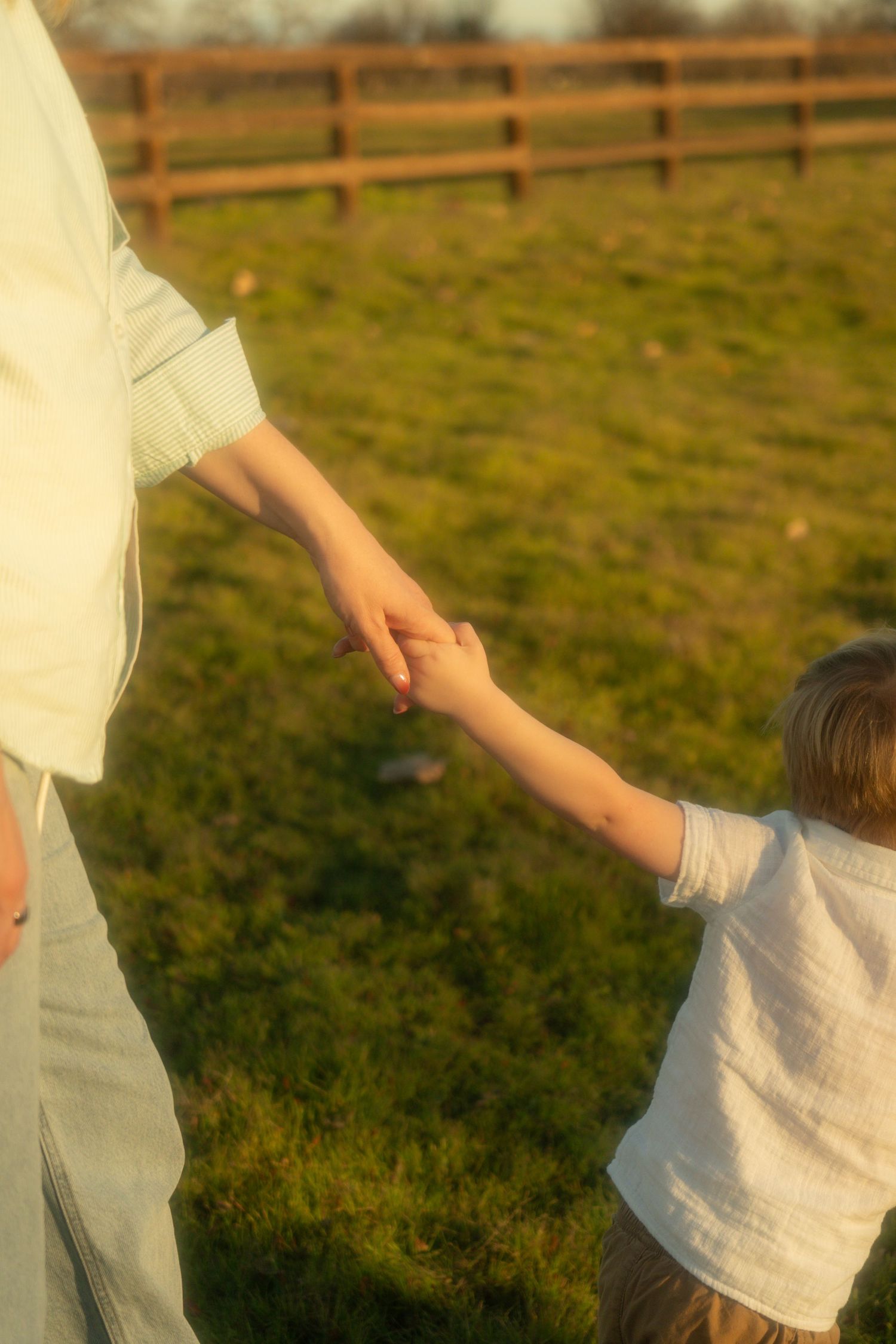 Adult and child holding hands in a sunny green field with wooden fence, warm golden light, outdoor family bonding moment.