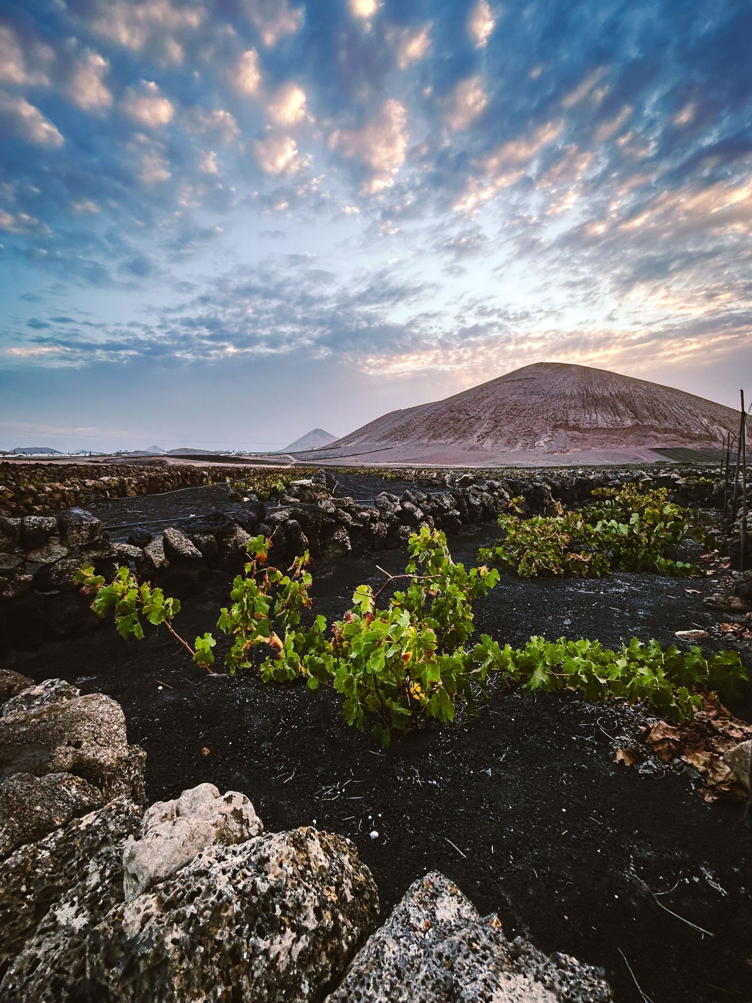 Entre ciel et vigne à Lanzarote. Composition de plans lumineux.