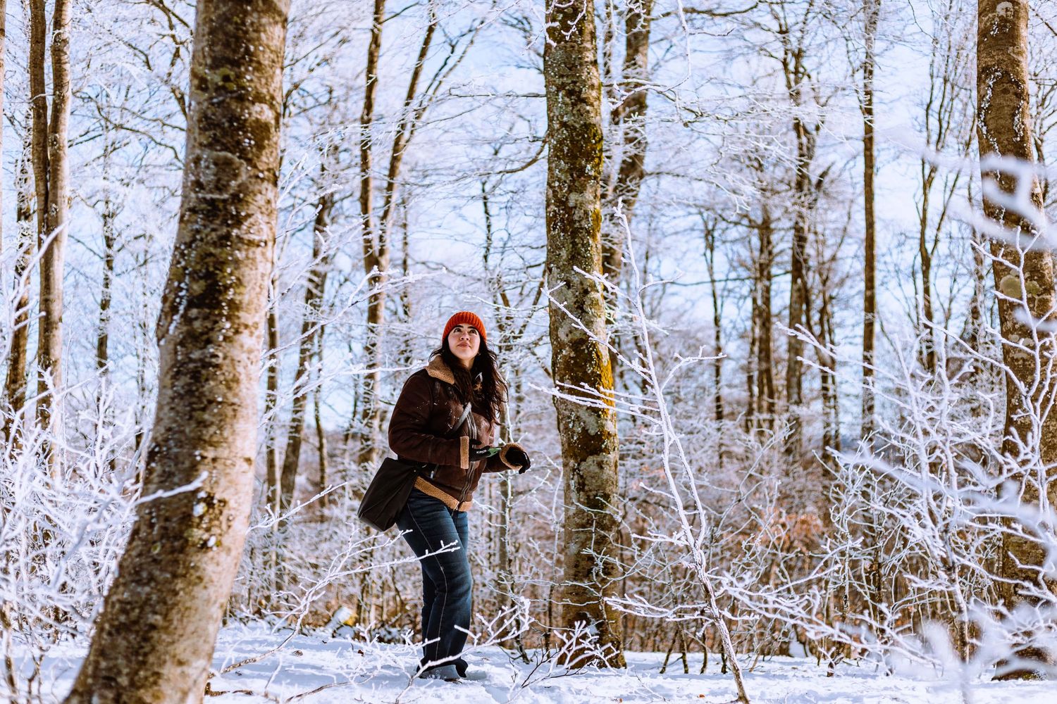 Foret polaire au Mont Aigoual après de grandes chutes de neige, magnifique décor pour le shooting