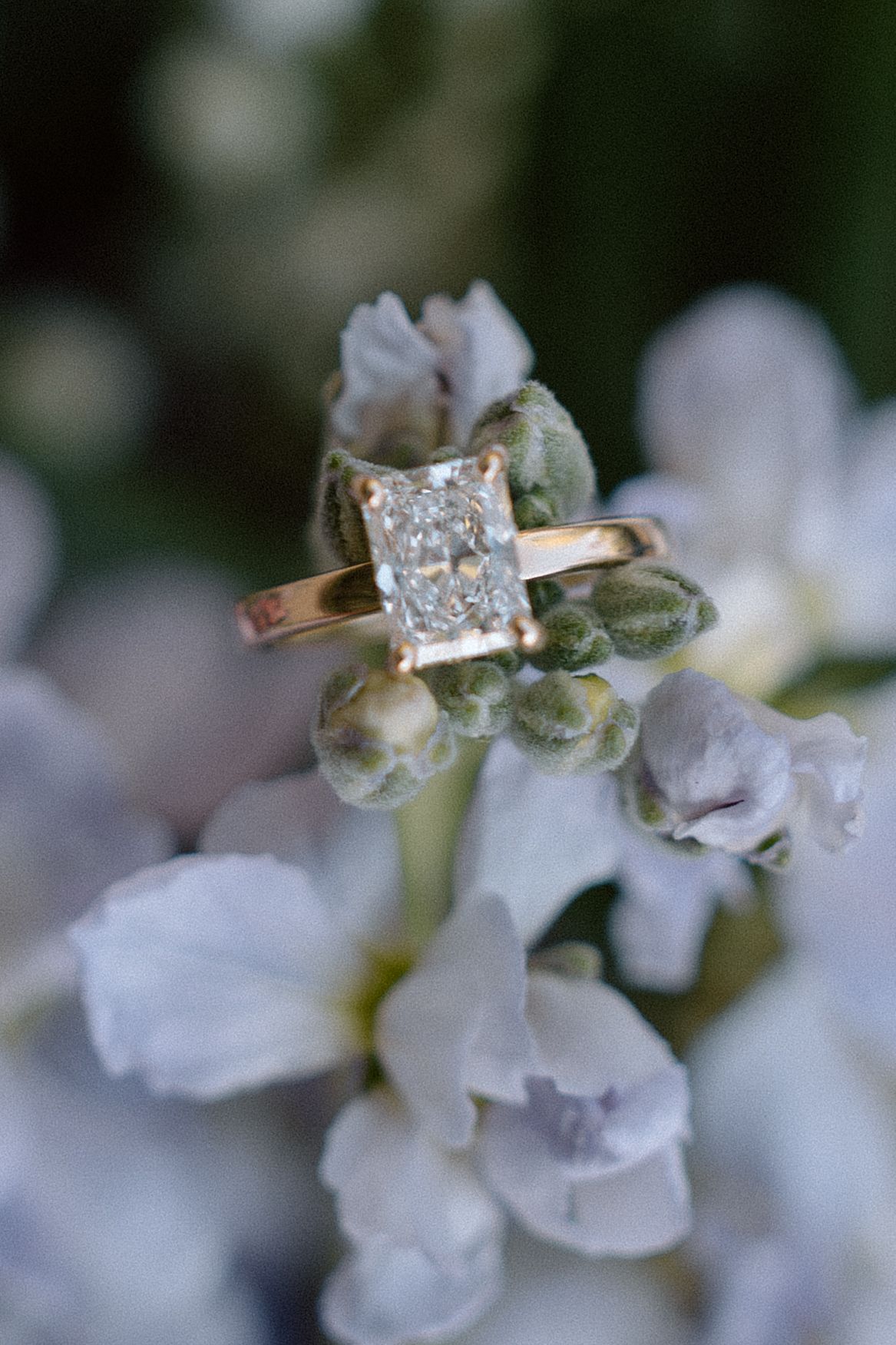 Flower shot with engagement ring