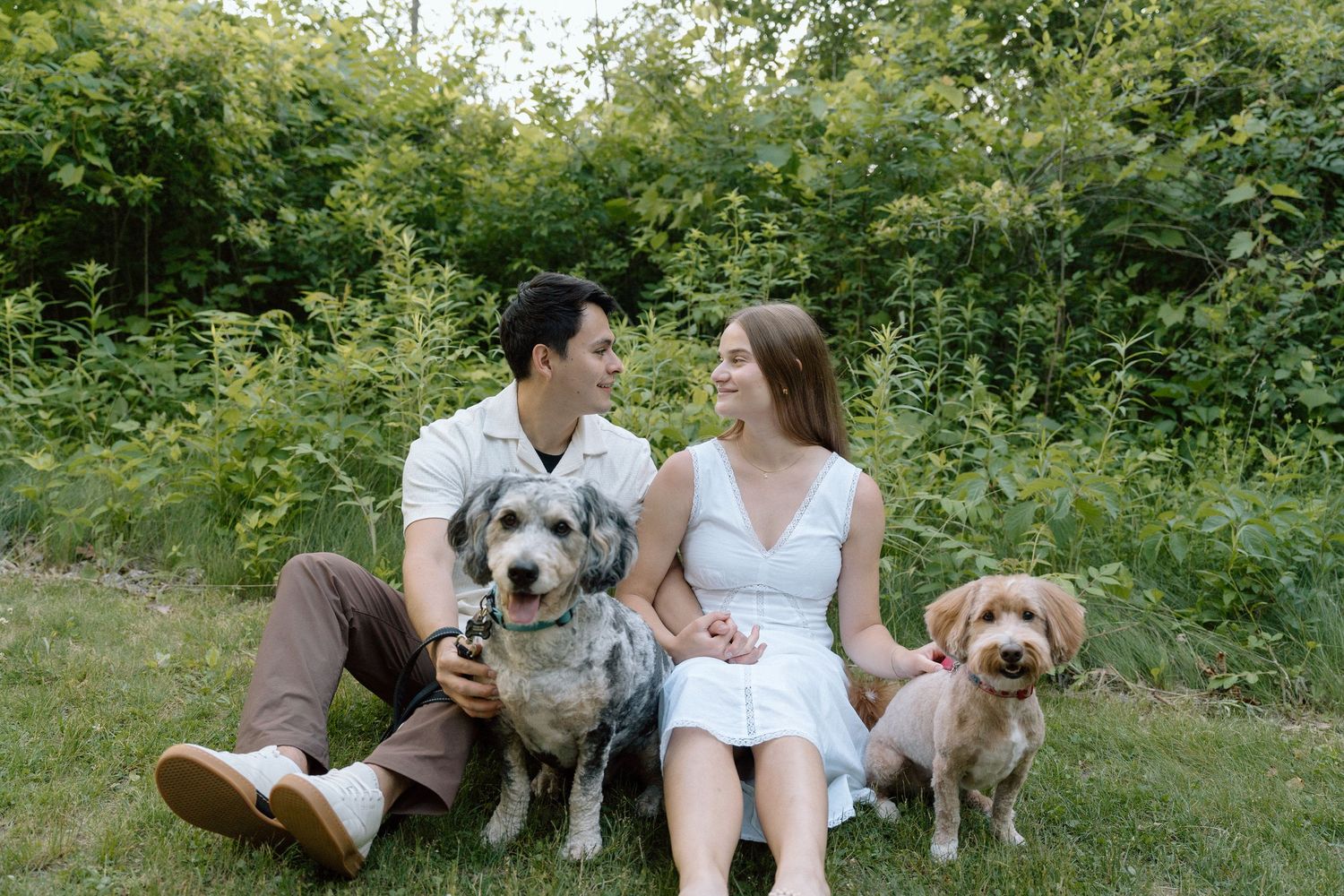 family session, dogs, pets in session, pets welcome, engagement session