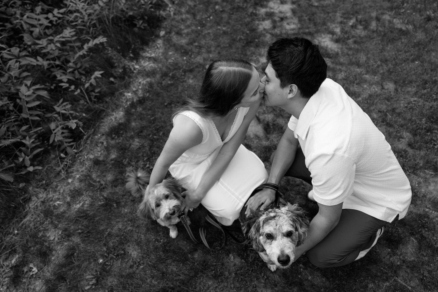 Family session, pets welcome, adorable family, photoshoot with dogs
