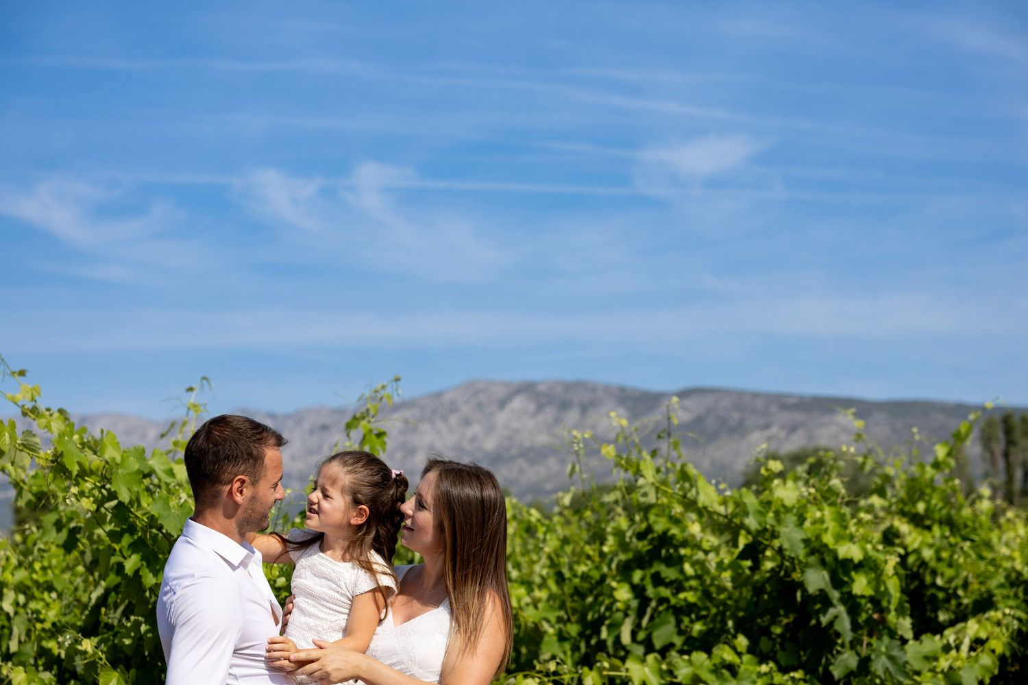 Famille dans les vignes avec vue sur la montagne lors d’une séance photo grossesse en Provence