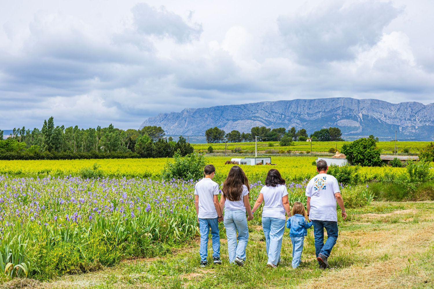Famille marchant dans un champ d’iris avec vue sur la Sainte-Victoire en Provence.