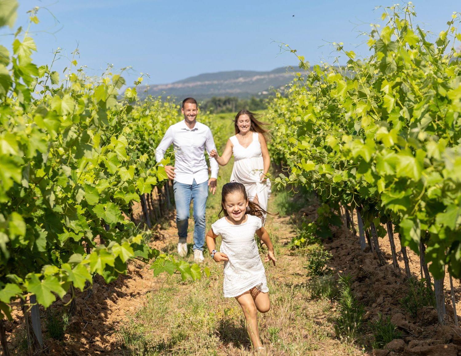 Famille marchant dans les vignes lors d’une séance photo grossesse naturelle en Provence
