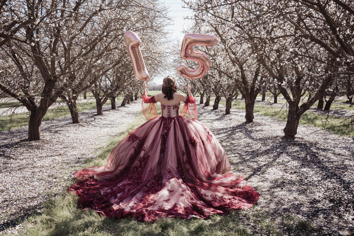 A burgundy ballgown with flowing train stands out against a dreamy orchard path lined with bare trees and floating number balloons.