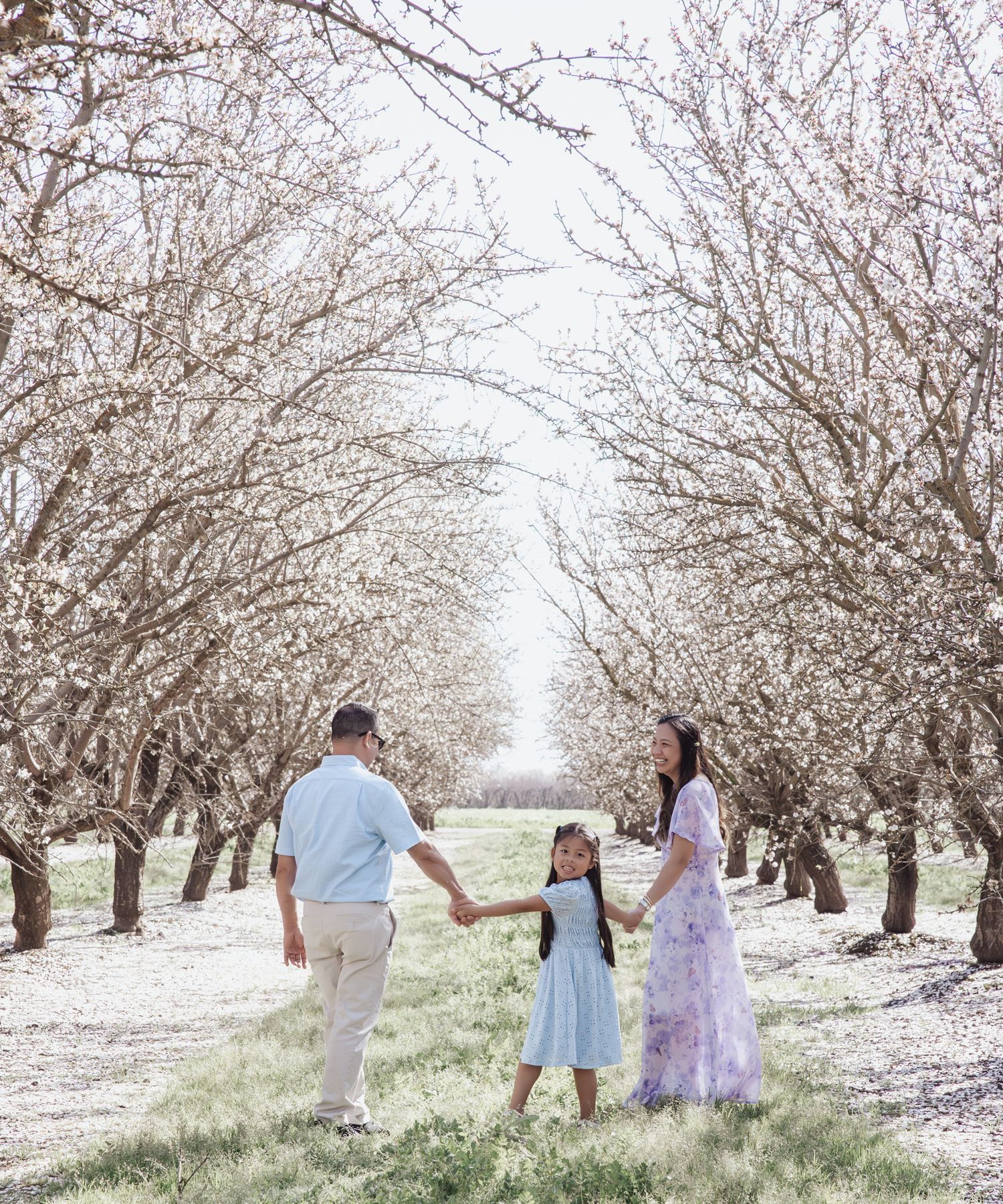 A family walks together through a dreamy alley of blooming white cherry blossom trees on a spring day.