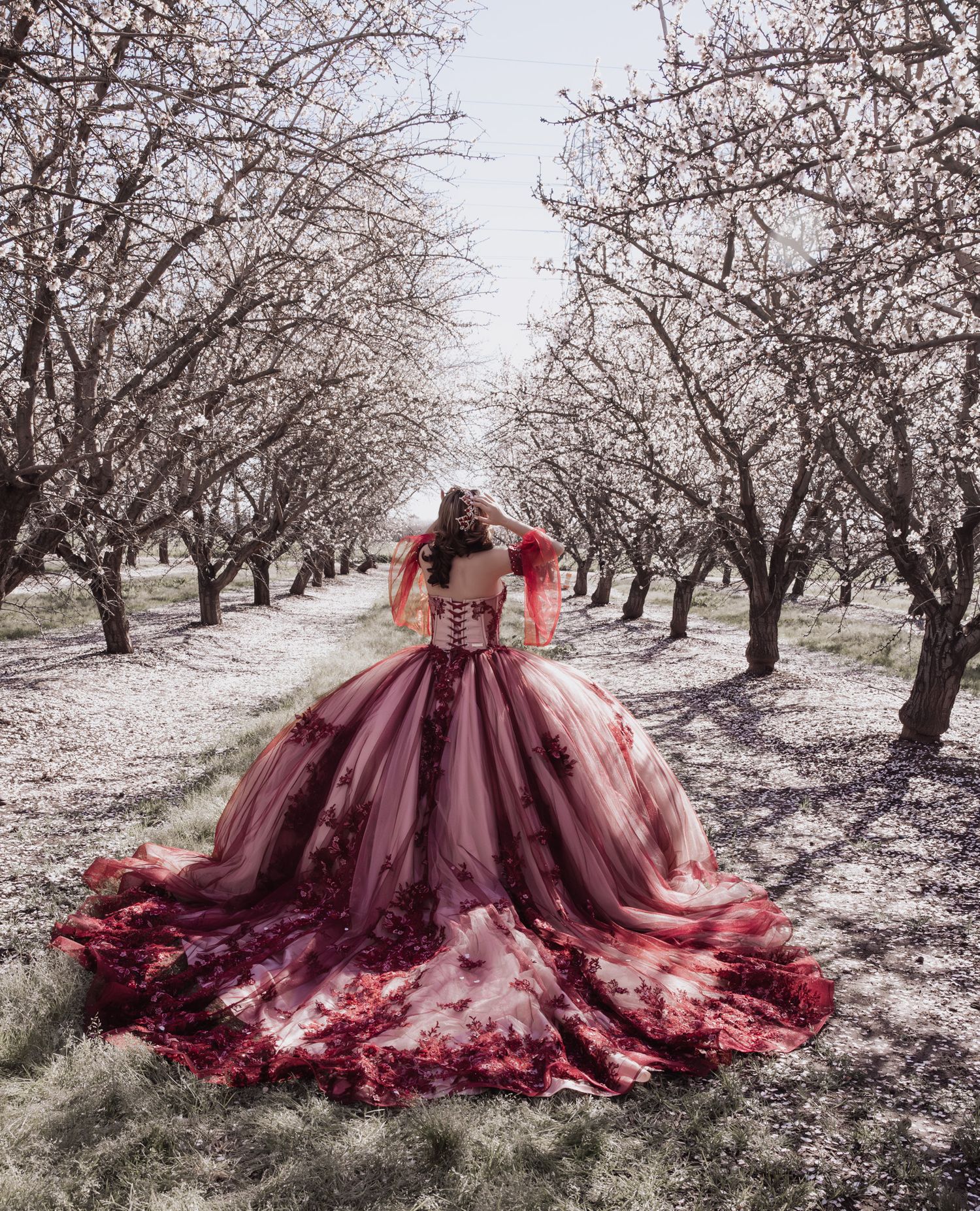 Dramatic burgundy ballgown with flowing train photographed in an orchard of bare winter trees.