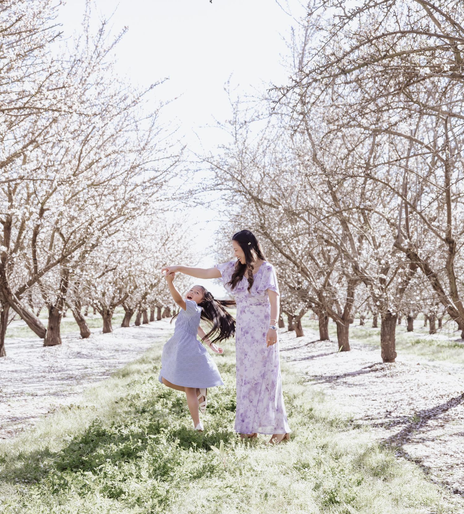 A person in a white dress dances gracefully through a blooming almond orchard on a sunny spring day.