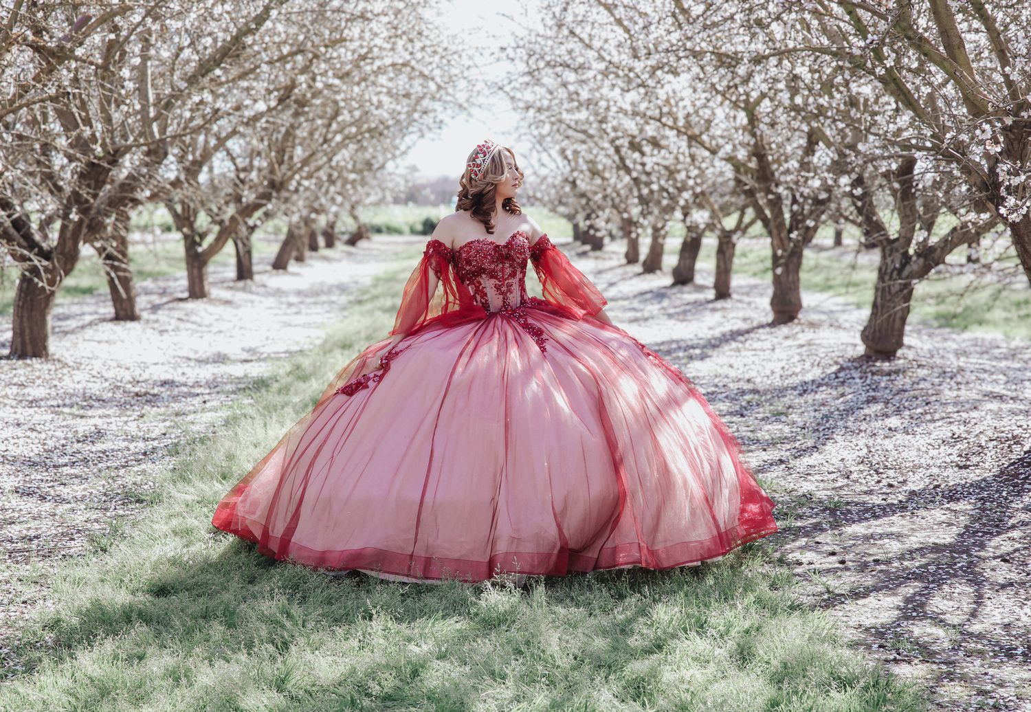 A person in a flowing pink ball gown poses gracefully among blooming cherry blossom trees in a spring orchard setting.