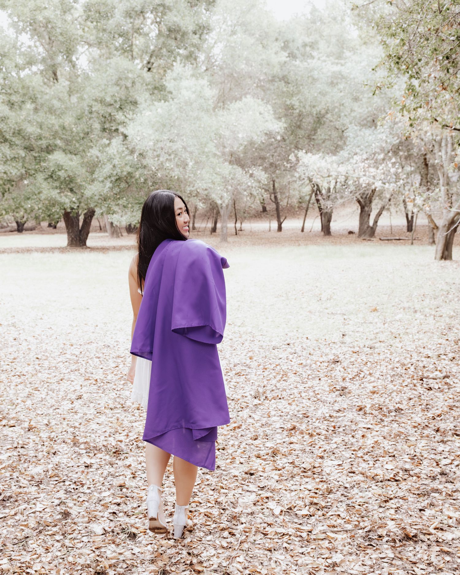 A figure in a flowing purple dress walks through a serene olive grove on a misty autumn day.