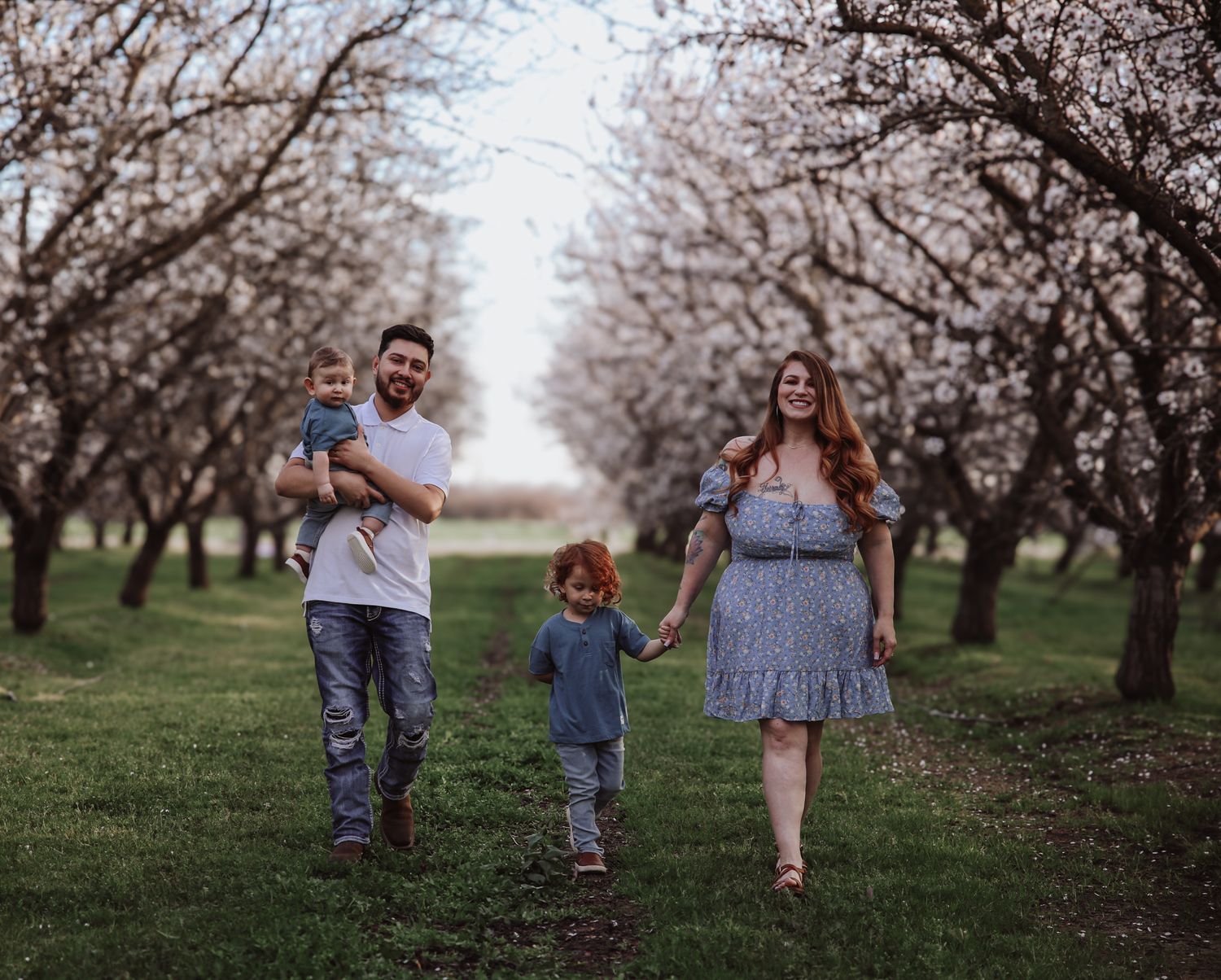 Family walks together through a scenic orchard of blooming cherry trees on a spring day.