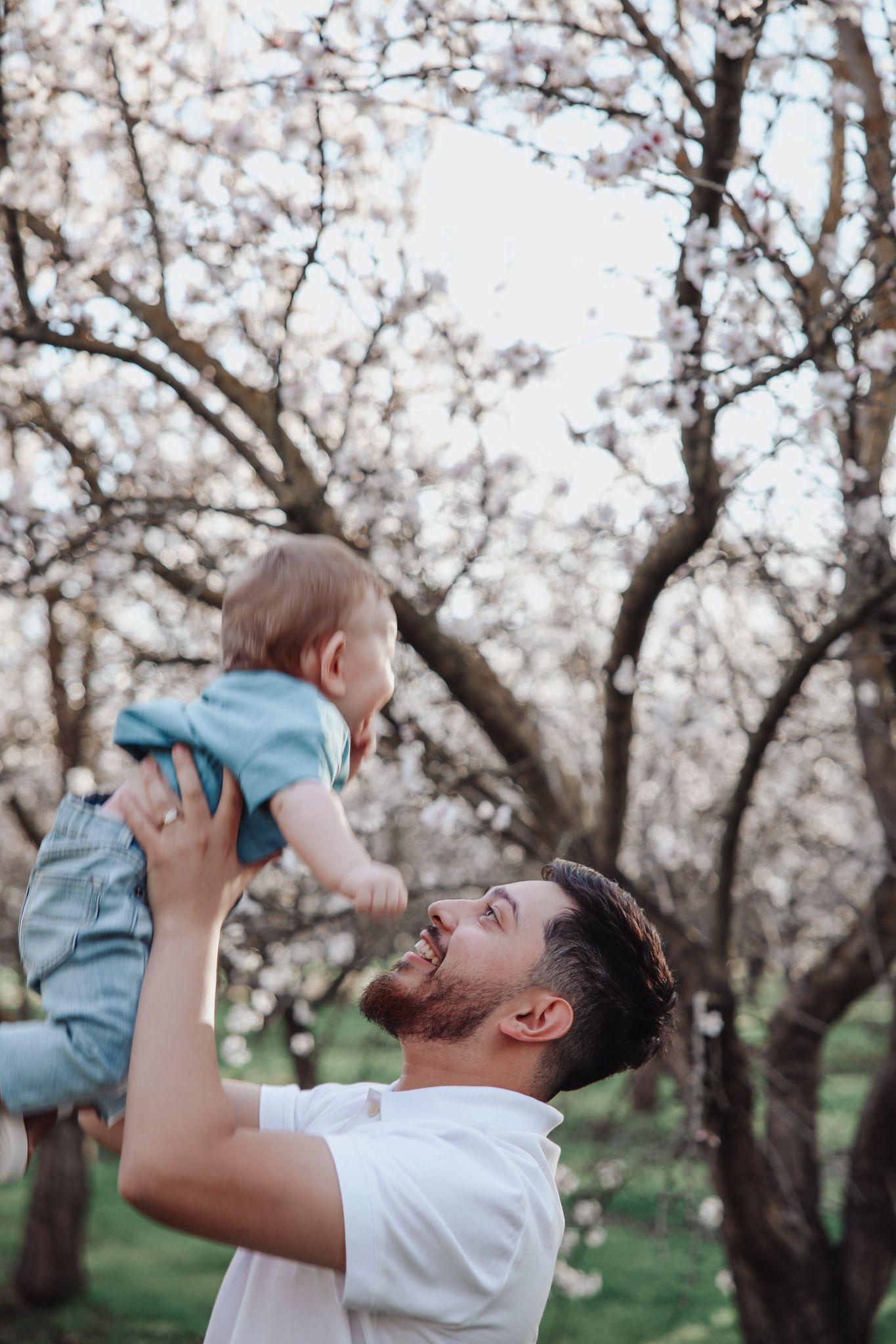 A joyful moment between parent and baby lifting them up under blooming spring cherry blossom trees in a park.