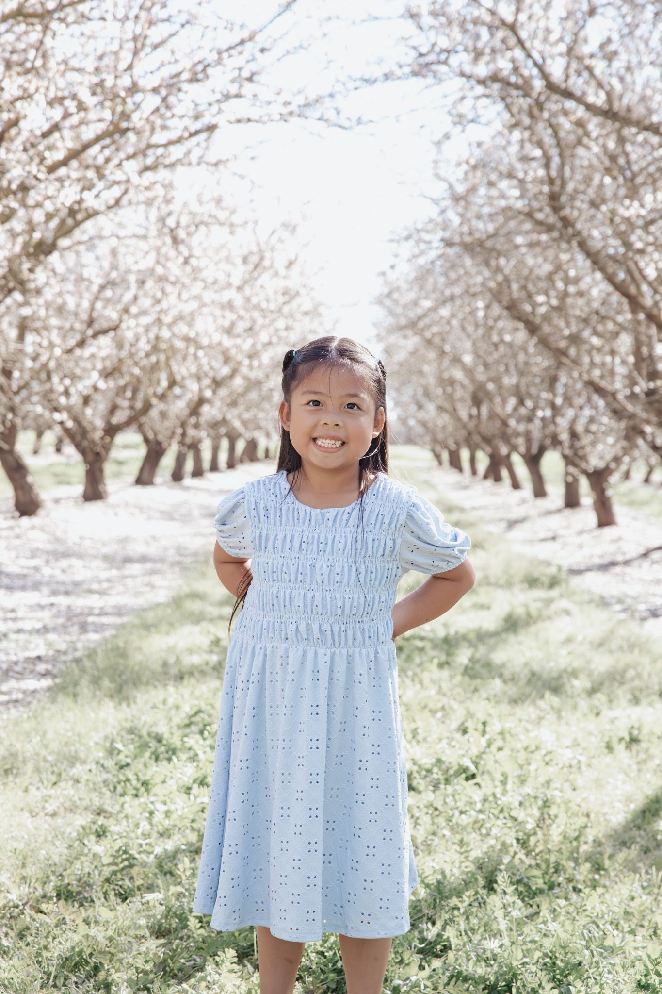 A child in a blue smocked dress stands joyfully among blooming almond trees in an orchard on a sunny spring day.