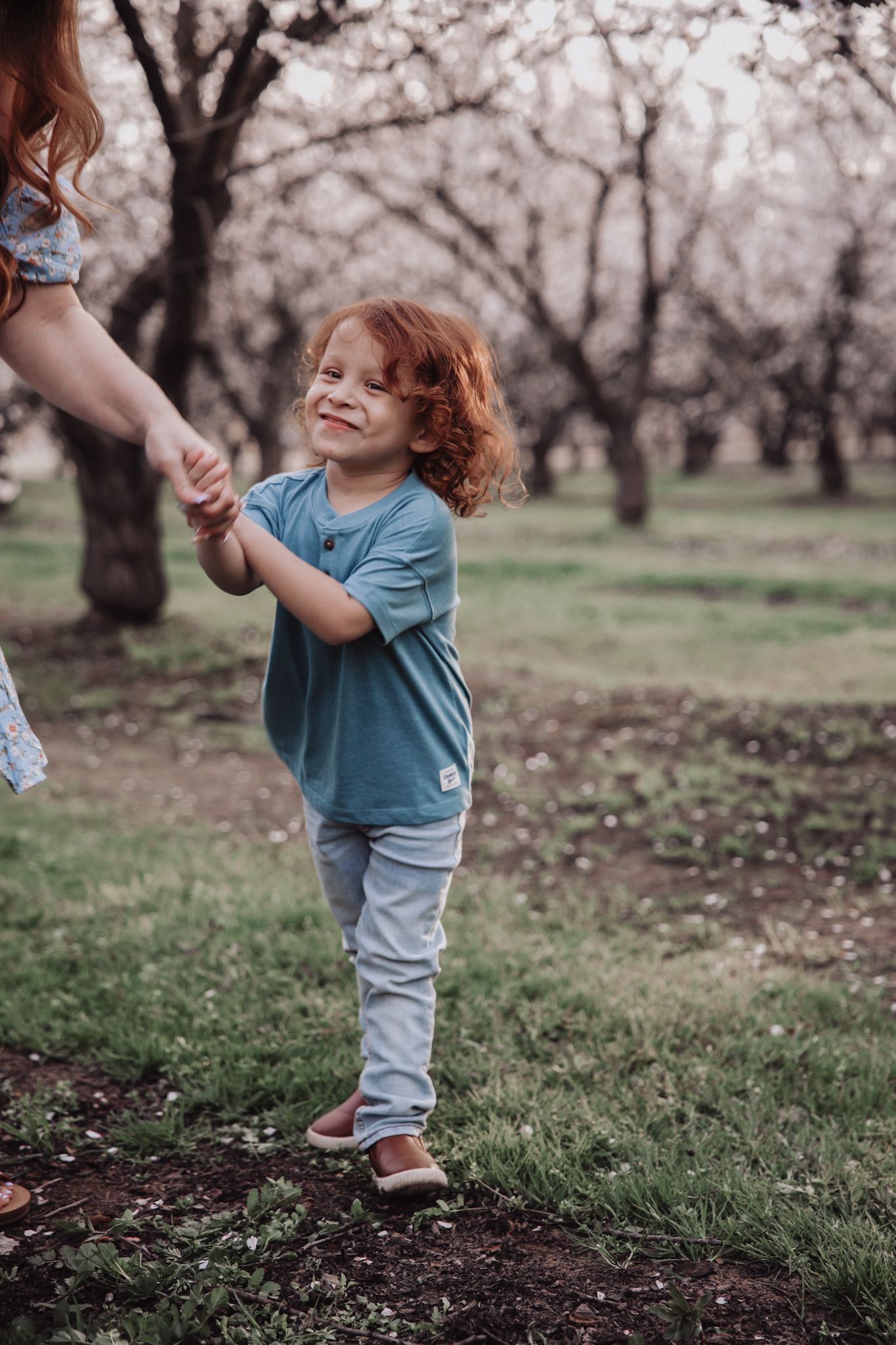 A toddler in a blue shirt and jeans plays under blooming almond trees in a spring orchard.