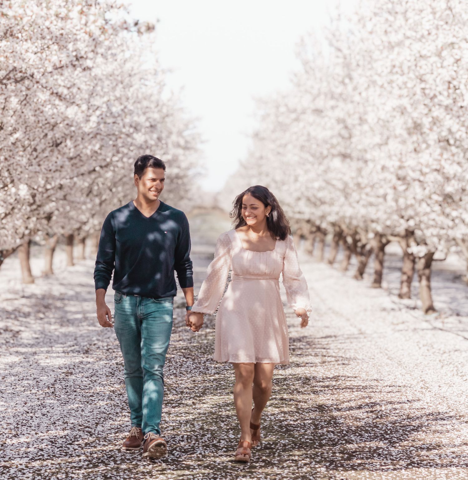 A couple walks hand in hand down a dreamy path between rows of blooming cherry blossom trees.