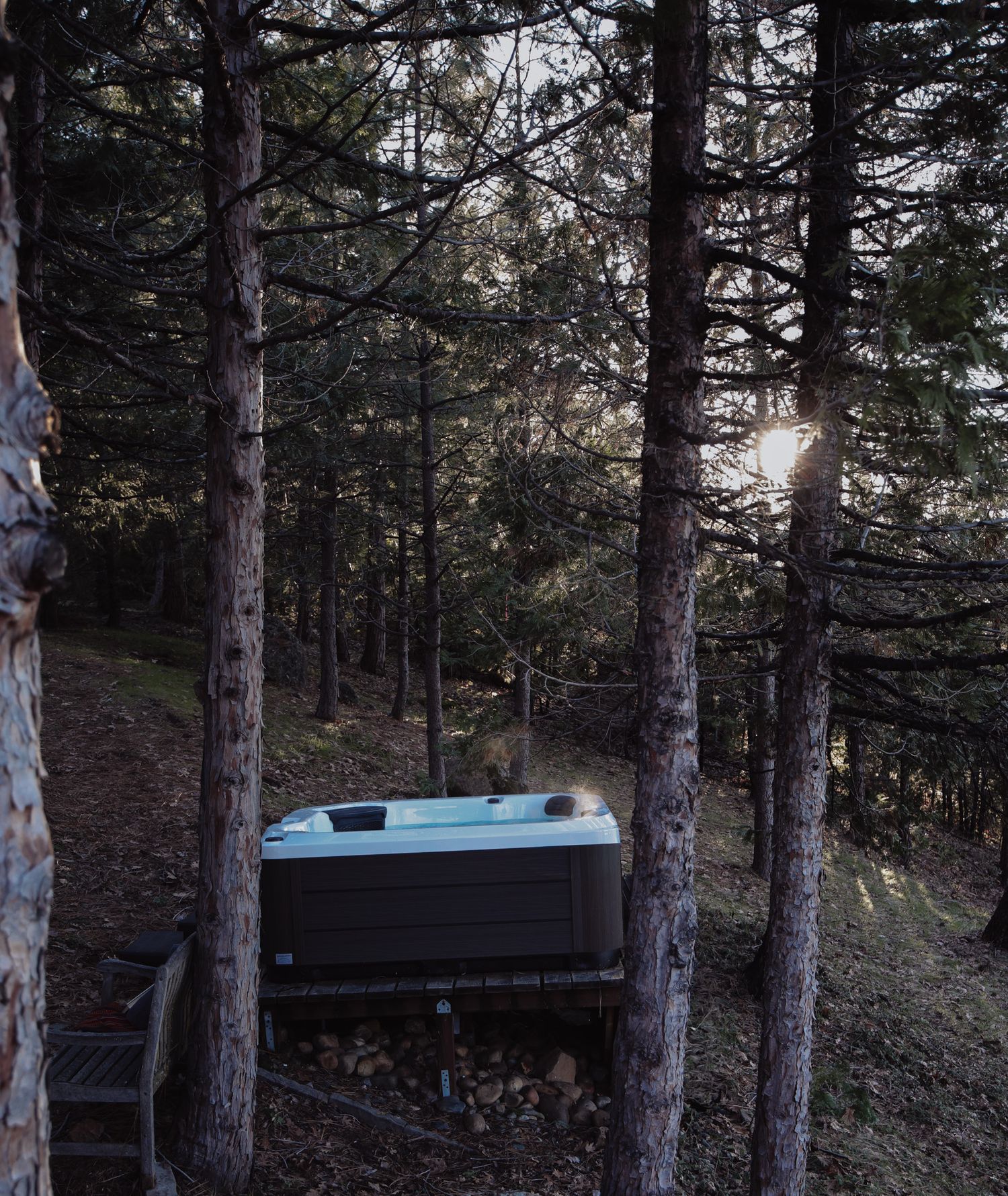 Pine trees line a wooded forest path with a dark cabin structure visible in the background at dusk.