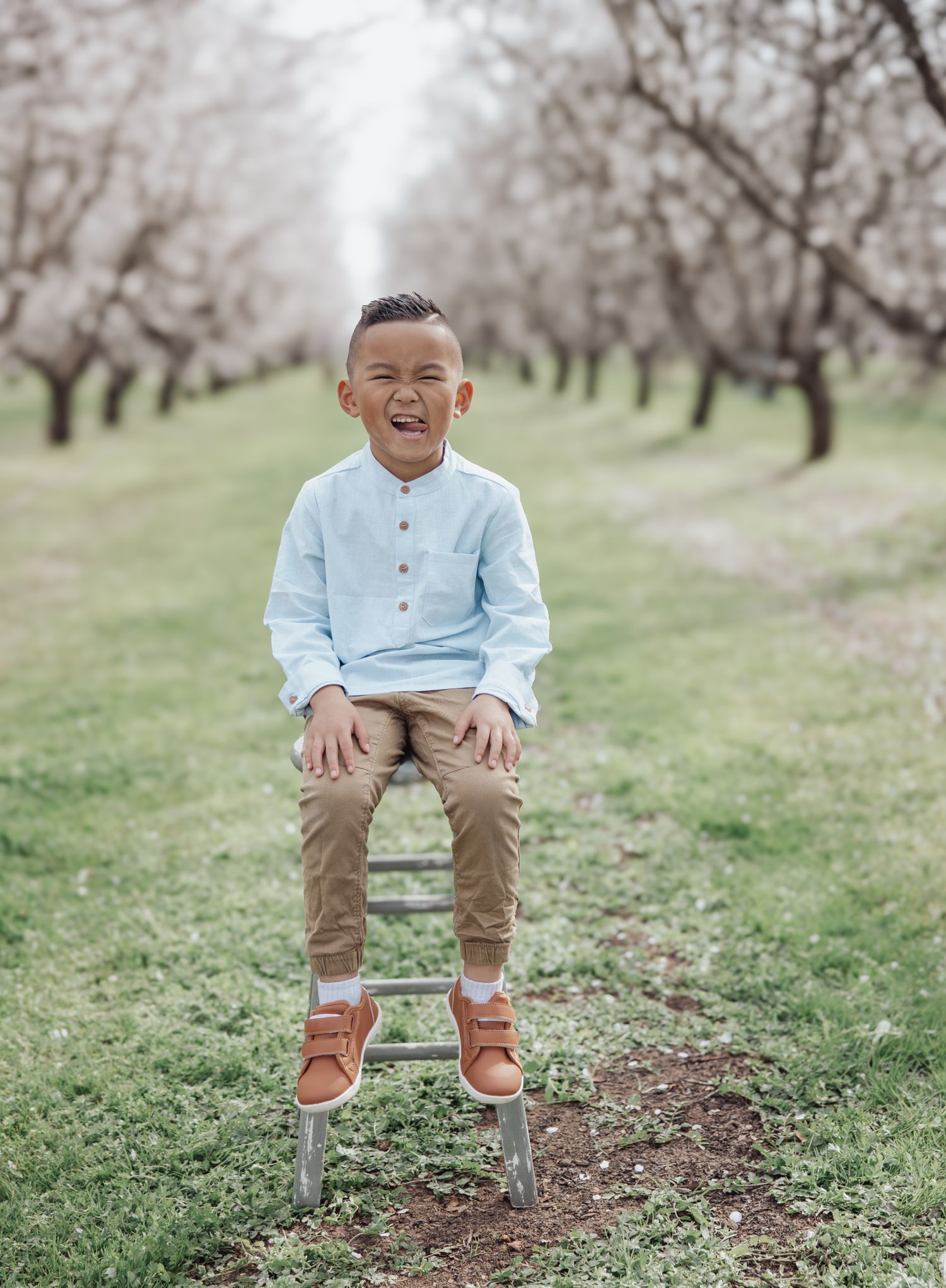 Young child in blue shirt and brown pants sitting on a stool among blossoming orchard trees on a spring day.